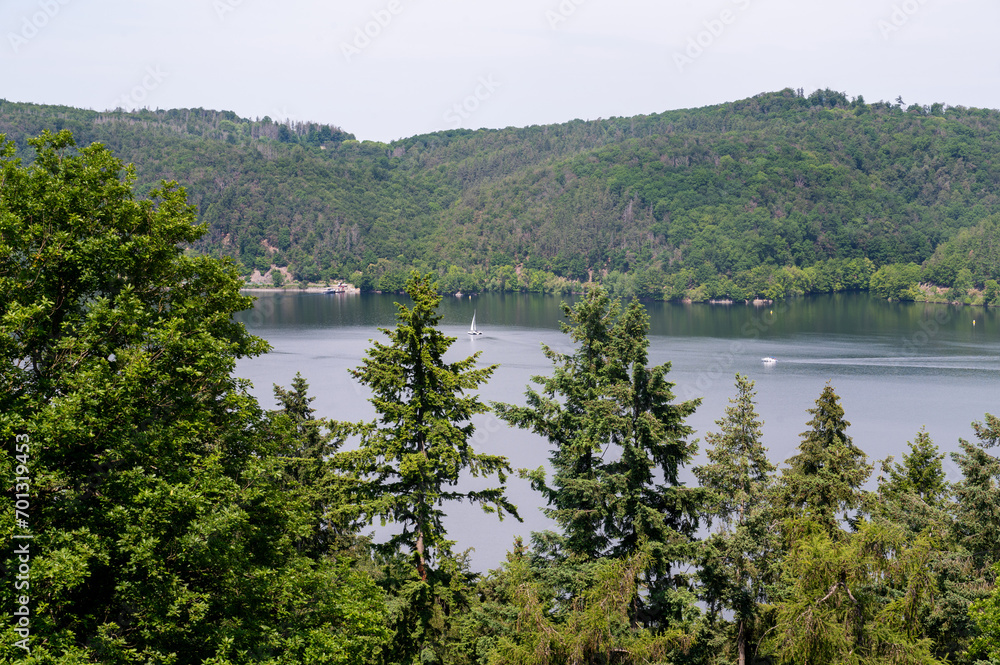 View of the Lake Eder with a tree and sailing boats