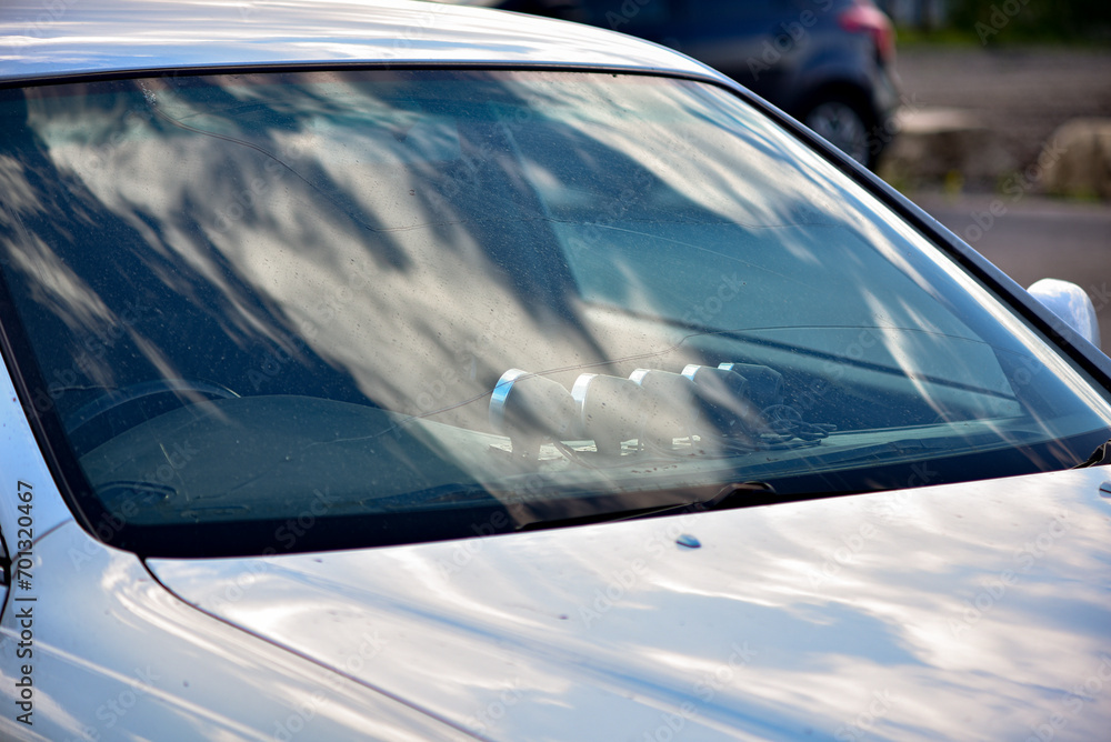 Obraz premium Car windshield with a crack.