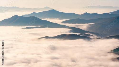 time lapse4k morning fog runing and a pine tree. standing alon at bukhansan mountian.