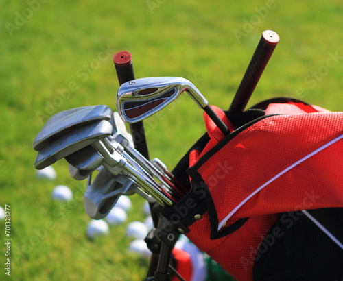 Golf clubs in golfbag