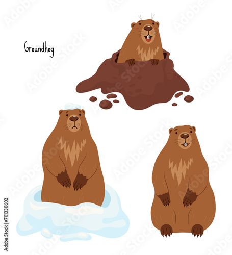 Collection Groundhogs. Rodent animal sad in snow, marmot stands and looks out of hole. Cute Isolated characters for Groundhog Day holiday design on February 2. vector illustration.