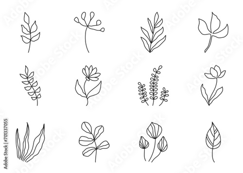 Floral line set. Various hand drawn plants, flowers and leaves. Natural doodle elements. Vector illustration on white background. 