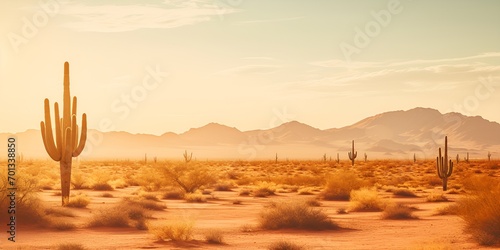 A desert landscape with cacti and warm sunlight   desert landscape  cacti  warm sunlight.