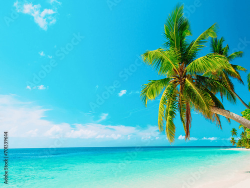 beach with palm trees © Ali