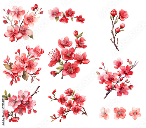 Wallpaper Mural Red cherry blossom watercolor illustration set Torontodigital.ca