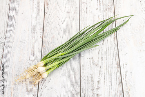 Young aroma fresh green onion