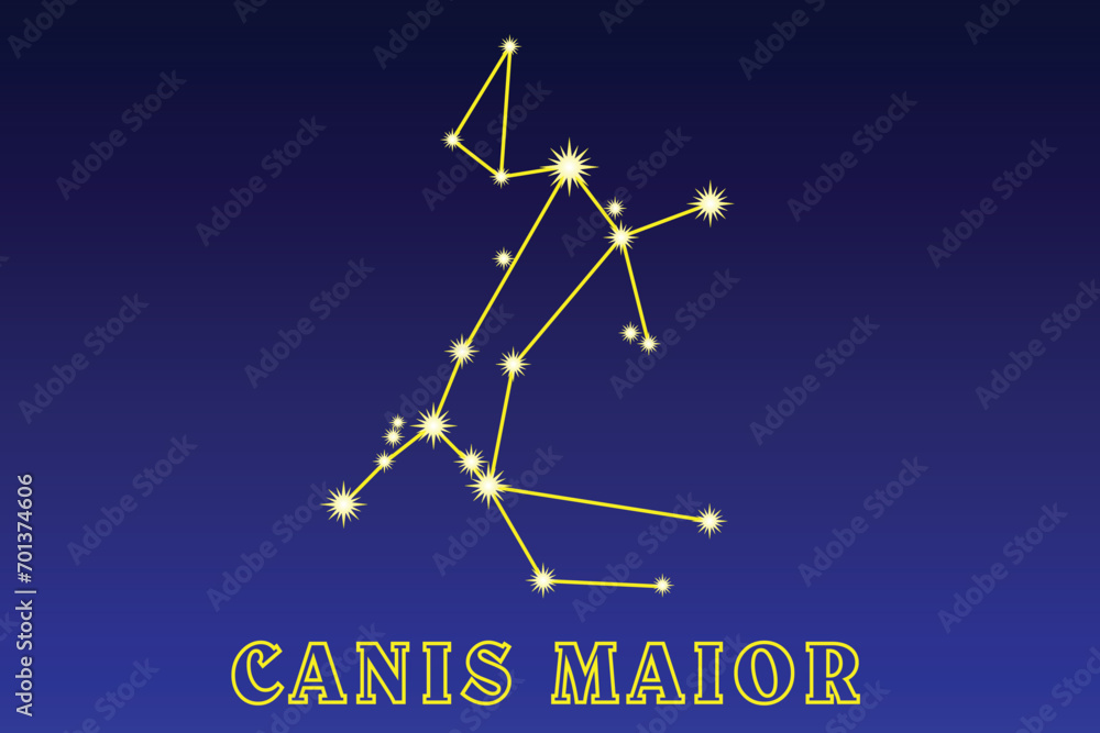 Constellation Canis Maior. Constellation Big Dog. Constellation of the