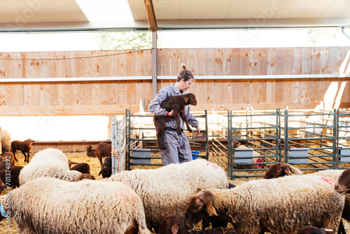Adult woman with sheep working in barn photo