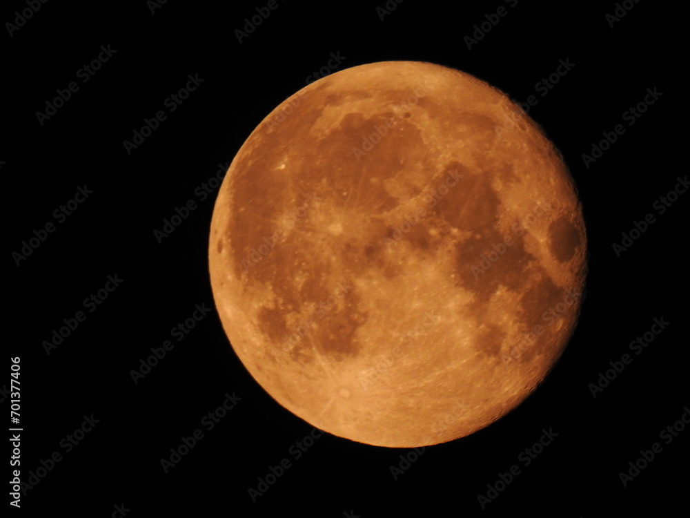 Obraz premium Full moon of August 2023 in about 70x magnification