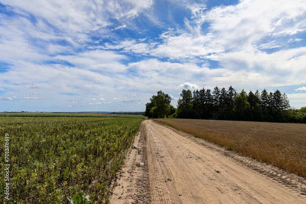 a road through a field with poor infrastructure a road through a field with poor infrastructure