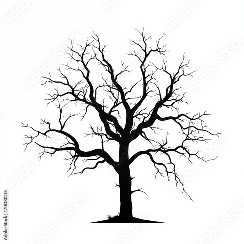 Monochromatic Nature: Silhouetted Dead Tree on White