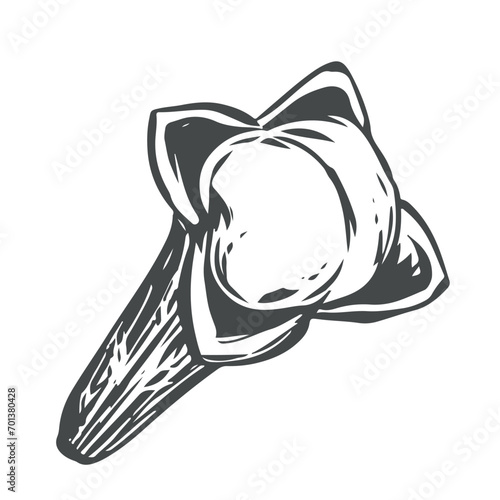 Handmade clove spice. Vector aromatic ingredient in engraving style. Dried bud, flower of the clove tree. Seasoning drawn in ink on a white background. Illustration for logo, packaging, label.