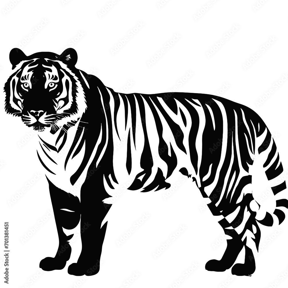 Obraz premium tiger 