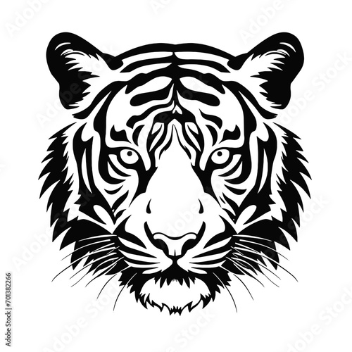 Fototapeta Naklejka Na Ścianę i Meble -  white tiger head