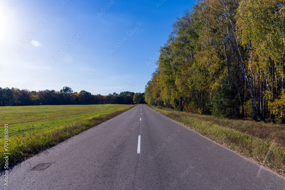 Paved road in the autumn season in sunny weather Paved road in the autumn season in sunny weather