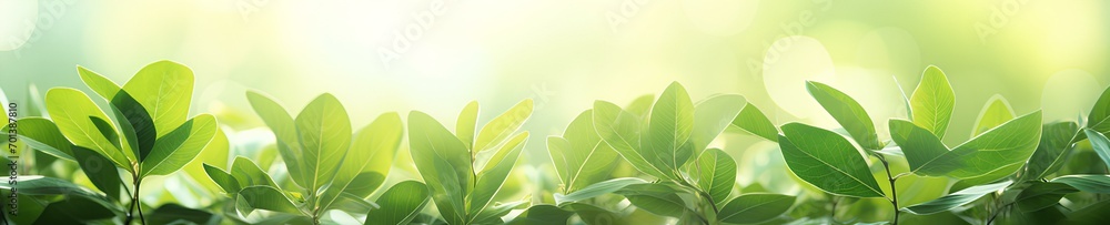 Tops of bushes with green leaves in the rays of the morning sun with a blurred background. Generative AI.