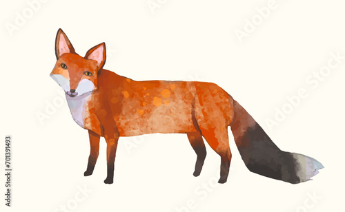 Fox, Animal wildlife watercolor vector illustration.