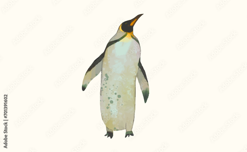 Naklejka premium Penguin, Animal wildlife watercolor vector illustration.