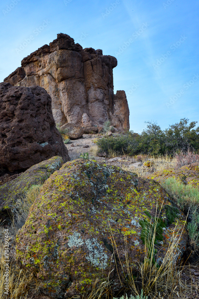 Yellow lichens on stones in a mountain desert in Arizona, near Phoenix