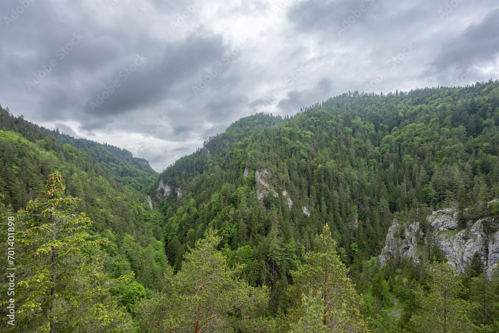 Kvacianska valley in spring time, Chocske vrchy, Slovakia