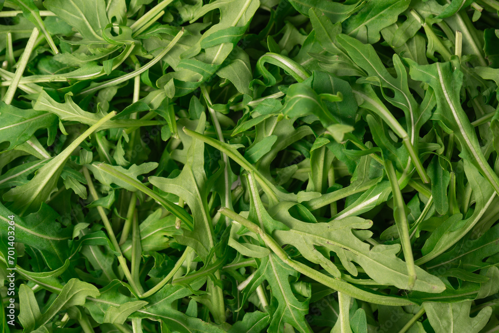 Fresh leaves of arugula as a background. Fresh leaves of arugula as a background.