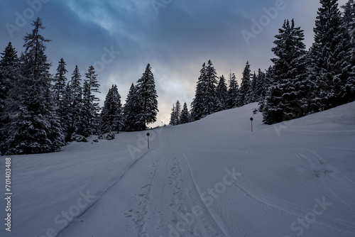 Winter / Landschaft © Petra Fischer