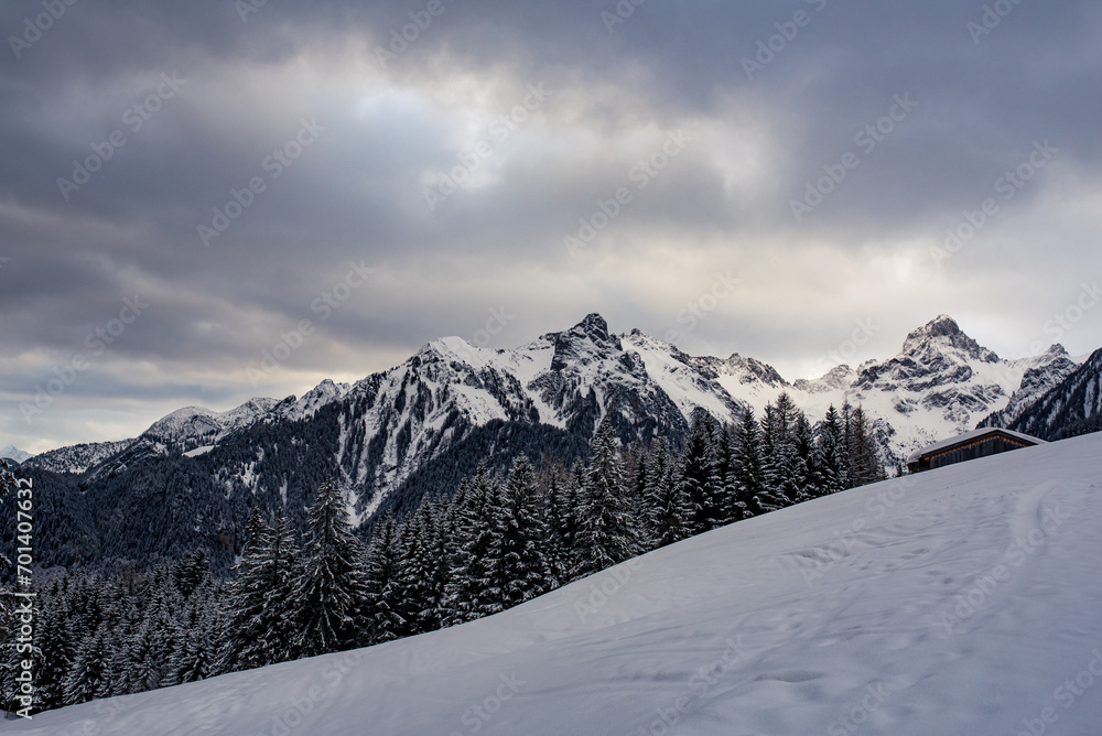 Winter | Natur | Landschaft