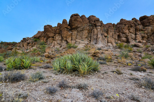 Agava, Yucca and Cacti in a Red Cliffs Mountain Landscape in California