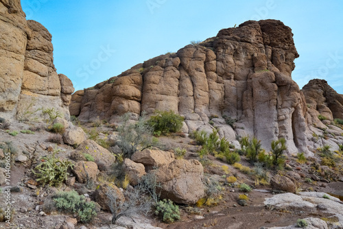 Agava, Yucca and Cacti in a Red Cliffs Mountain Landscape in California