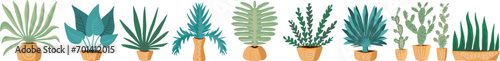 Set of house plants in pots. Home plant.