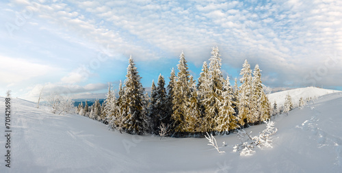 Fototapeta Naklejka Na Ścianę i Meble -  Winter mountain snowy landscape