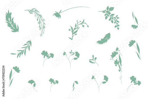 Hand drawn botanical silhouette of branches, flowers and leaves. Vector illustration
