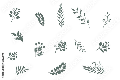Foto Hand drawn botanical silhouette of branches, flowers and leaves