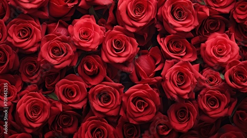 Background from bouquets of flowers. Red roses. Design. Valentine s Day. View from above. Banner. Generative Ai