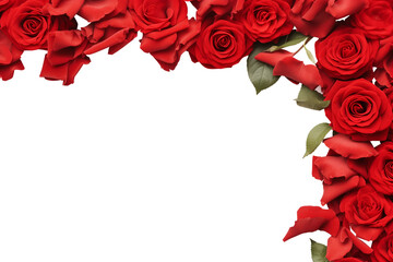 Red rose flower flora scattered flat lay composition top view on transparent background cutout, PNG file. Mockup template for artwork. Wallpaper banner border	
