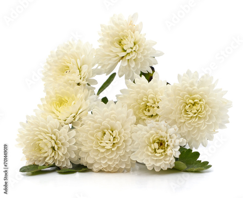 Bouquet of white chrysanthemums. © voren1