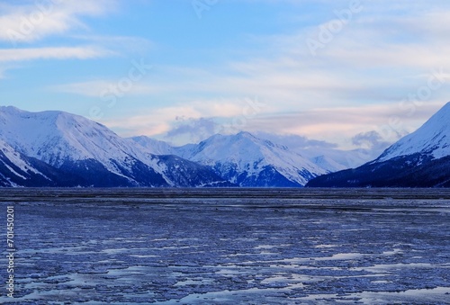 Ice in Turnagain Arm  Alaska