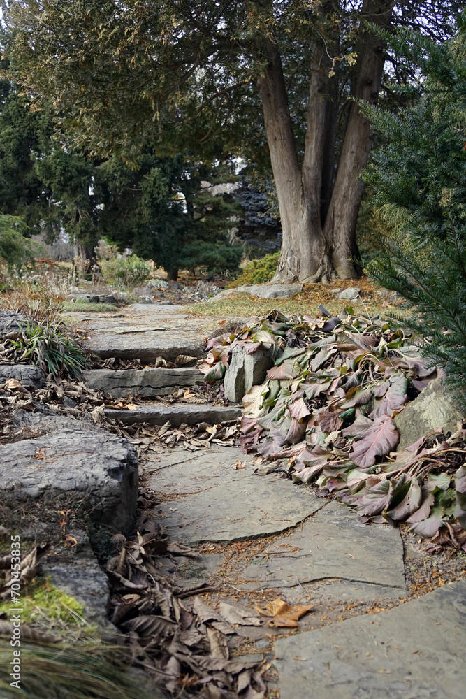 Stone steps on a leaf-strewn path through a city park in winter
