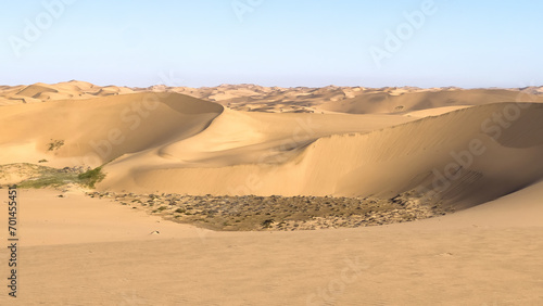 Sandwich Harbour, Namibia - August 22, 2022: Gentle curves of sand dunes undulate under a clear sky, their golden hues offset by sporadic vegetation and rocky outcrops. photo