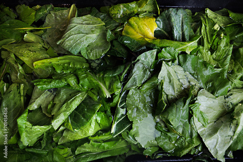 Eat Your Greens