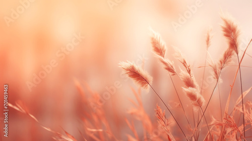 A banner captures thedelicate beauty of wild grass, bathed in a warm, golden light, soft focus and gentle hues create a serene and tranquil atmosphere, evoking feelings of peace and harmony, copyspace