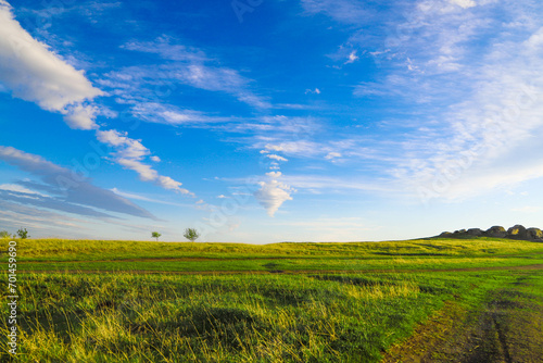 A green grassy plain under the blue sky with fluffy clouds in a windy sunny day as a background