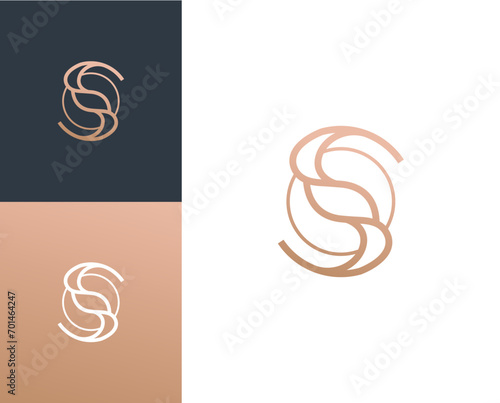 Initial letter S logo design suitable for luxury and modern business