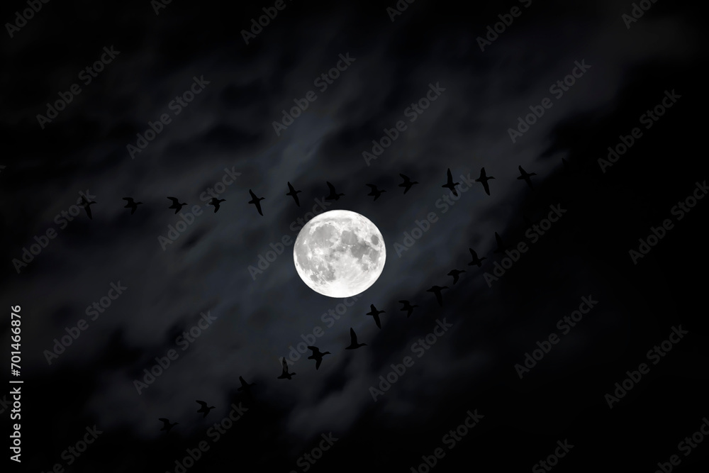 Fullmoon and birds. Moonscape in dark night. Black sky background. Fullmoon and birds. Moonscape in dark night. Black sky background.