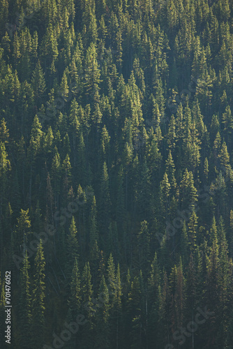 Park Narodowy Banff