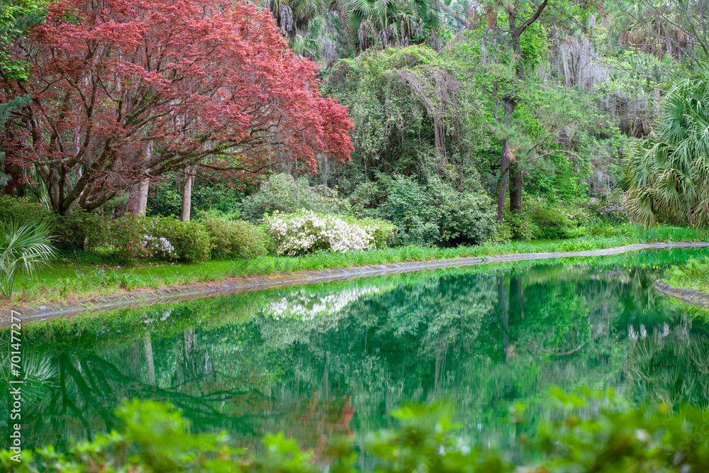 Garden and Pond at MaClay Gardens, Tallahassee, Florida Garden and Pond at MaClay Gardens, Tallahassee, Florida