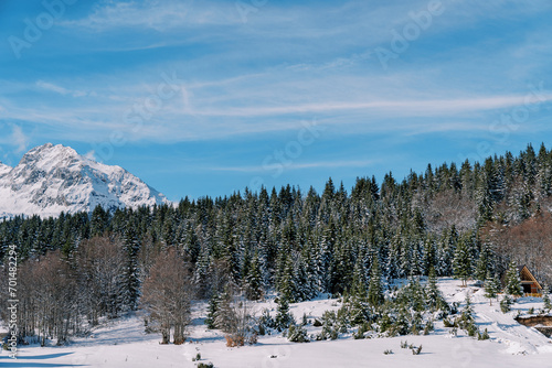 Snowy forest in a mountain valley. Durmitor National Park, Montenegro