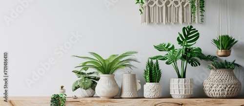 Stylish and minimalistic boho interior with crafted and handmade macrame shelf planter hanger for indoor plants design furnitures elegant accessories Botany home decor of living room with plant