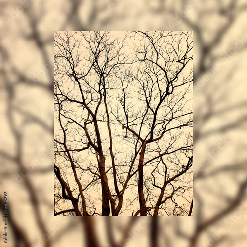 Beautiful and abstract 