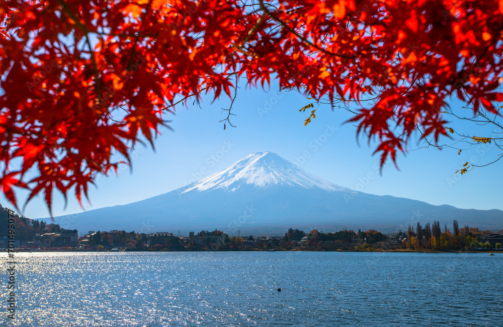 Autumn foliage. Fuji, Japan.